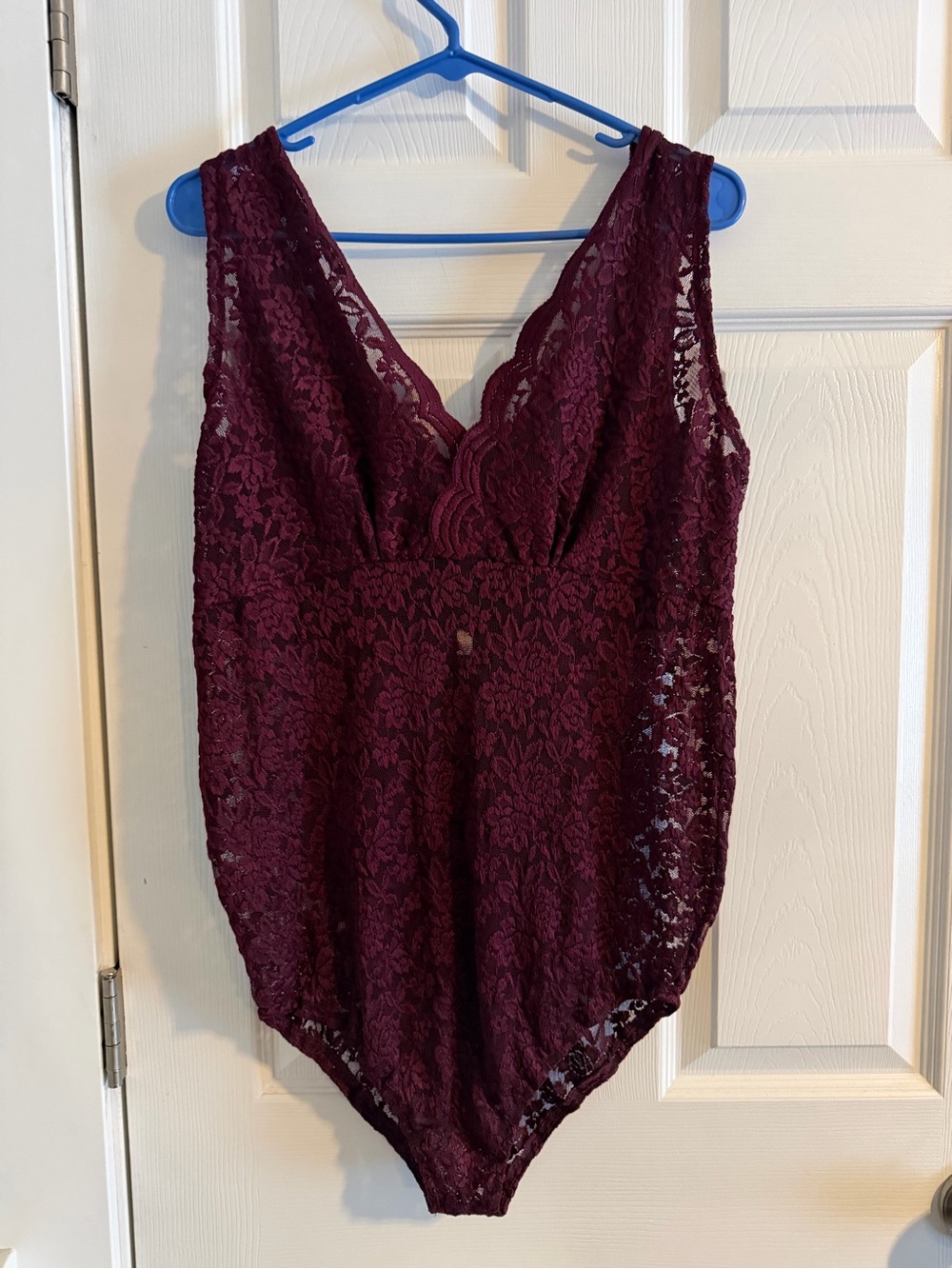 Sheer Lace V-Neck Bodysuit in Burgundy